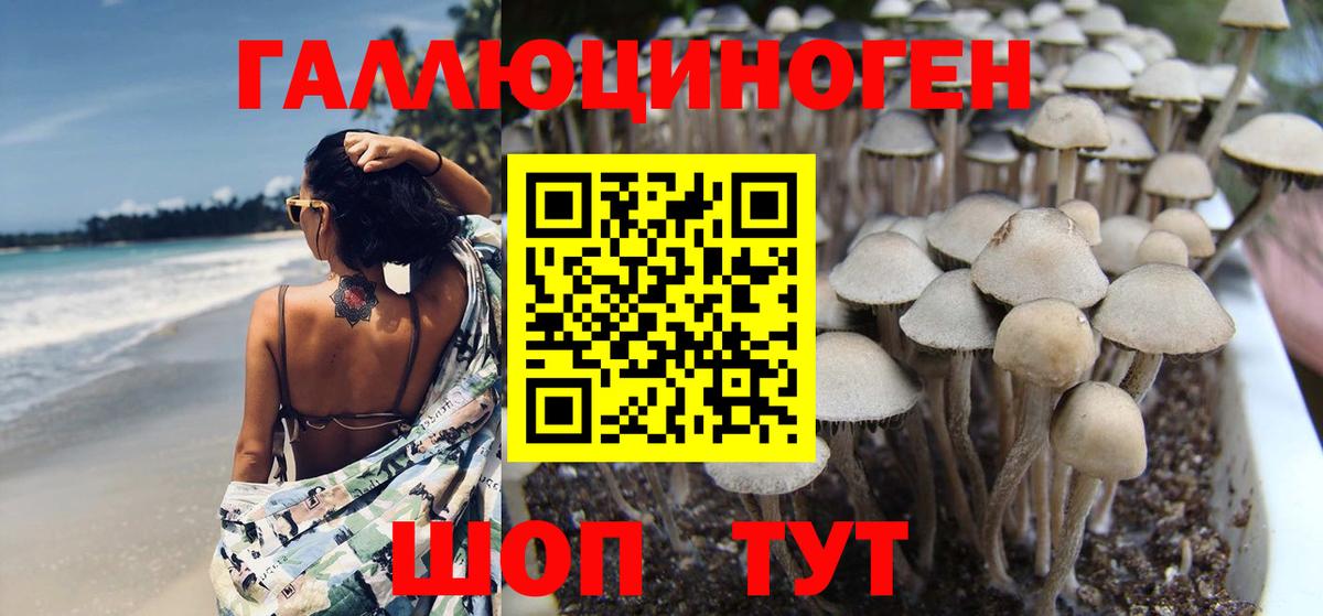 Галлюциногенные грибы Magic Shrooms  Вход с VPN  Гуково 